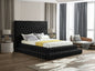 Kiki Black Queen Platform Bed